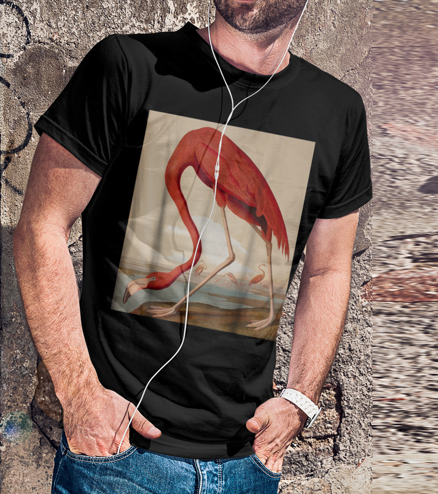 American Flamingo The Birds Of America By Audubon T-Shirt