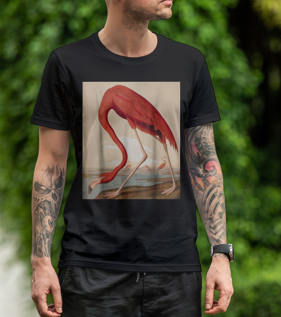 American Flamingo The Birds Of America By Audubon T-Shirt