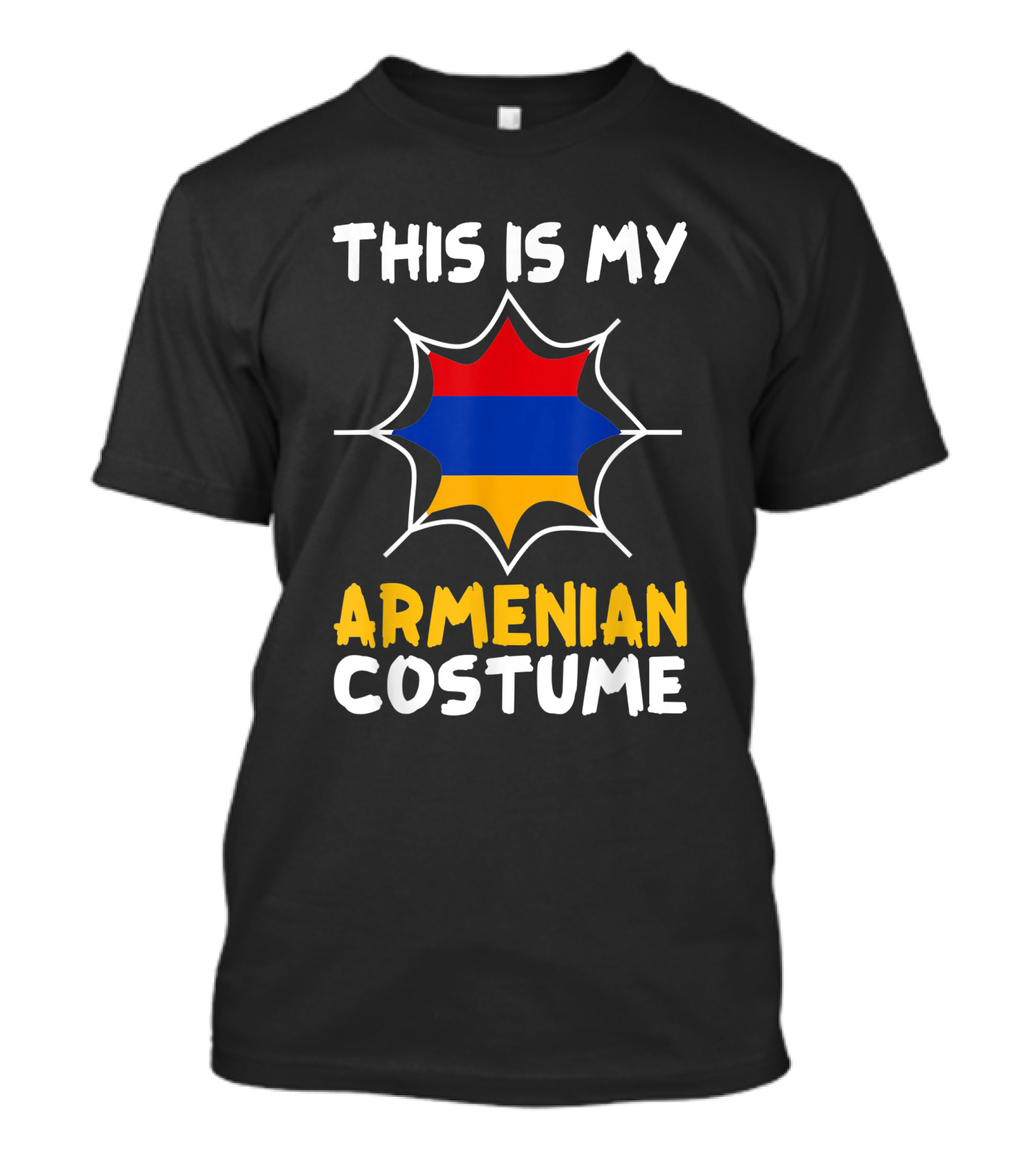 This Is My Armenian Costume Halloween Patriot Armenia Flag Burst T-Shirt