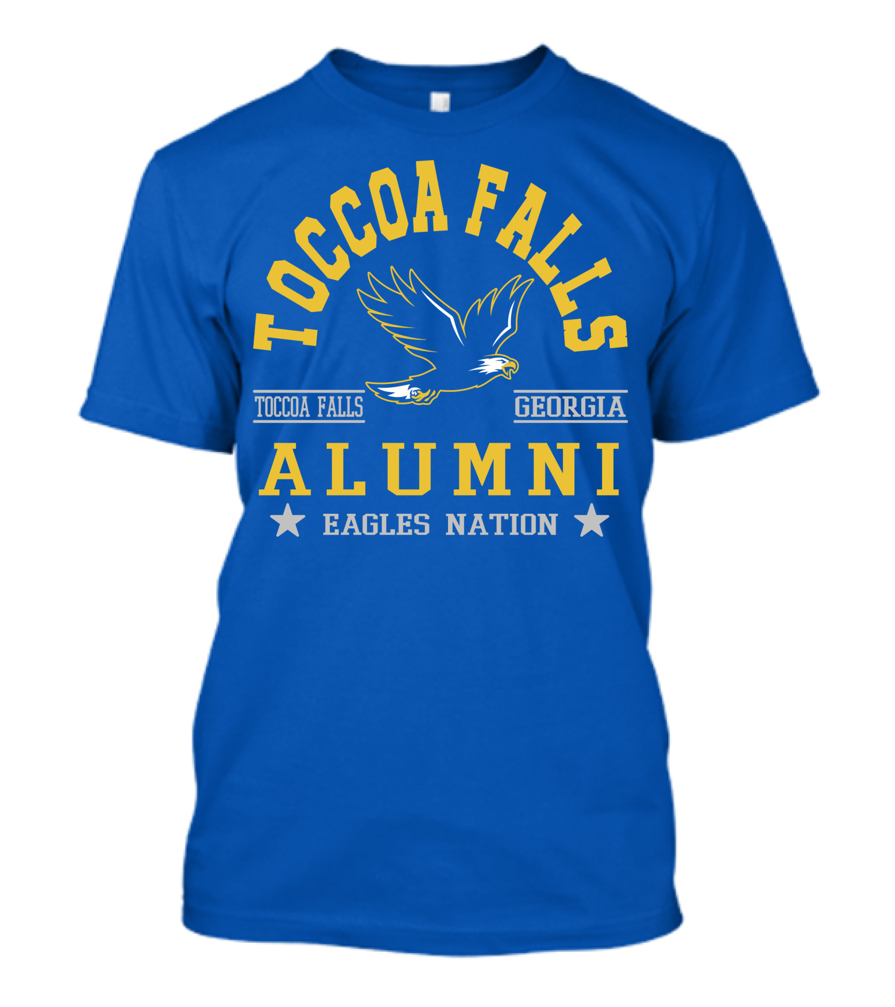 Toccoa Falls Alumni Eagles Nation Georgia T-Shirt
