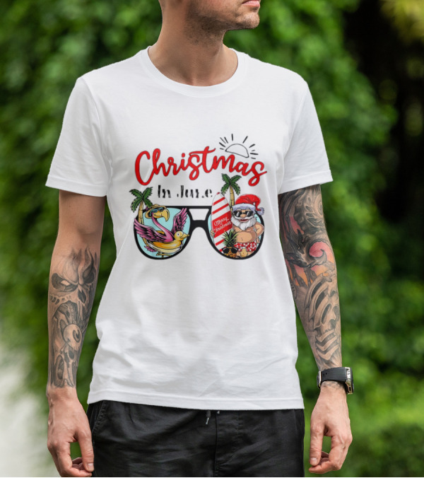 Christmas In June Sunglasses Santa Flamingo Merry Christmas Summer Vacation T-Shirt