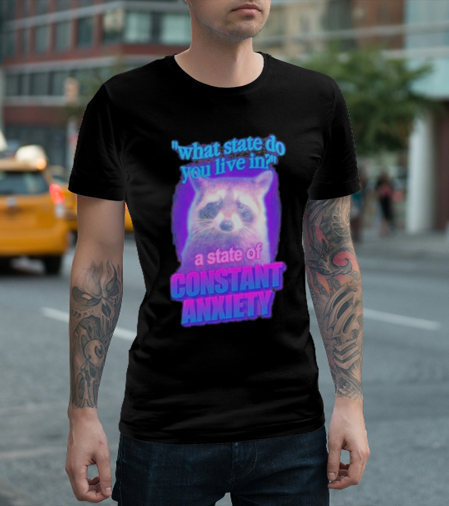 Raccoon In A State Of Constant Anxiety Meme T-Shirt