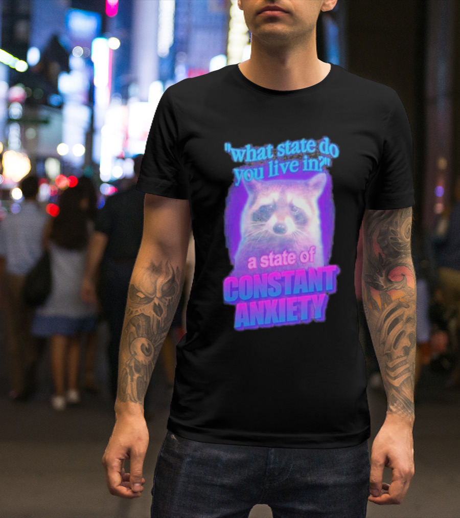 Raccoon In A State Of Constant Anxiety Meme T-Shirt