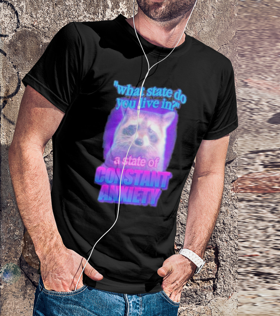 Raccoon In A State Of Constant Anxiety Meme T-Shirt