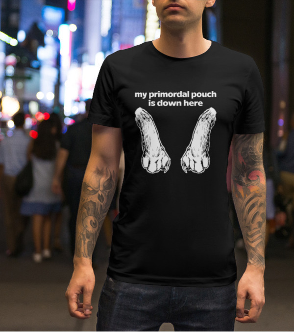 My Primordial Pouch Is Down Here Funny Cat Lover Graphic By Mango Island T-Shirt