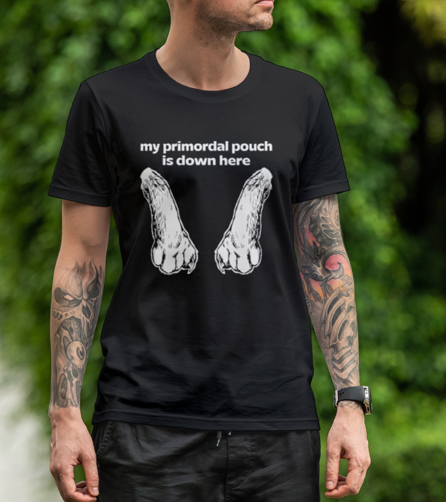 My Primordial Pouch Is Down Here Funny Cat Lover Graphic By Mango Island T-Shirt
