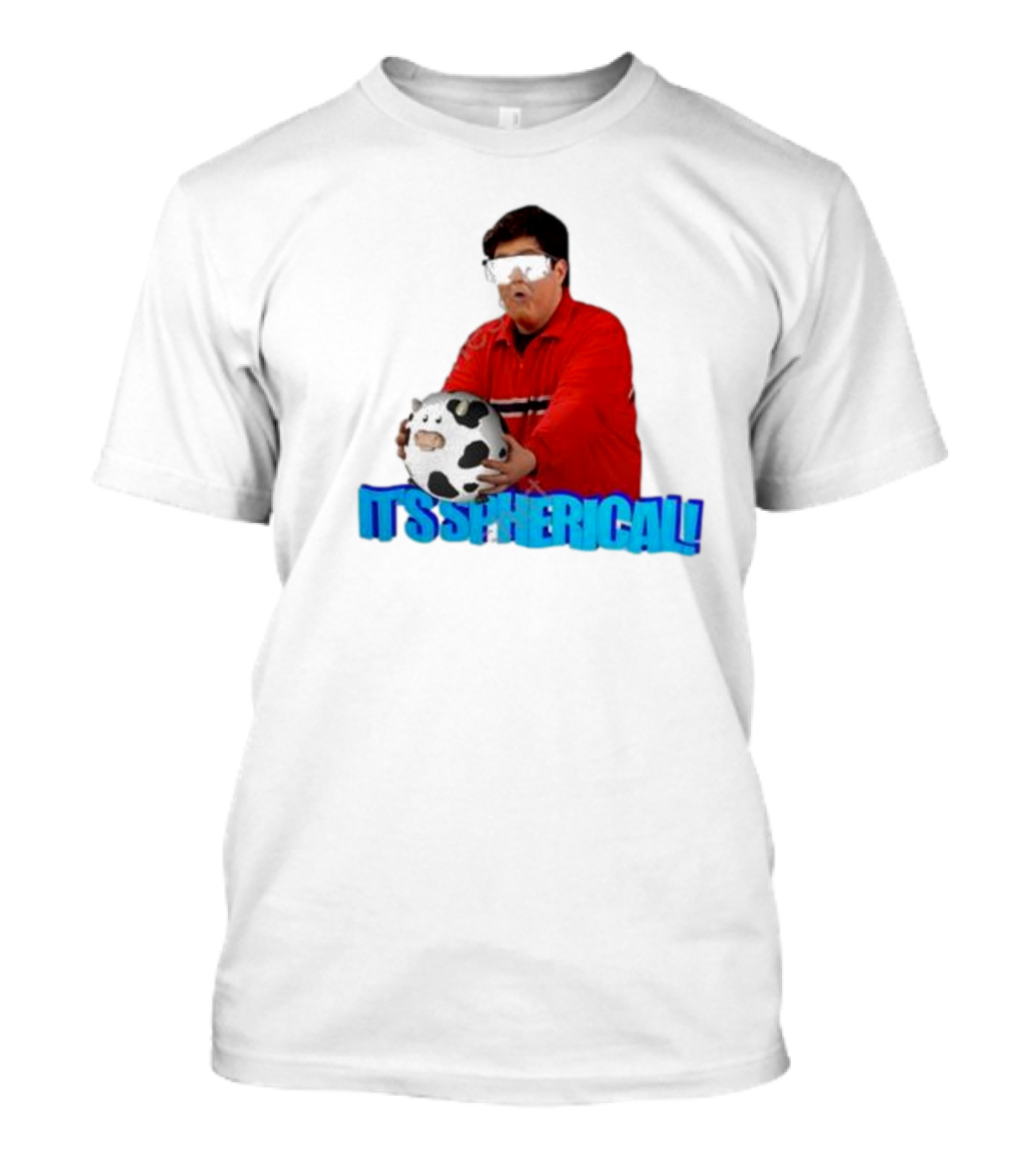 It's Spherical Cow Meme Retro T-Shirt