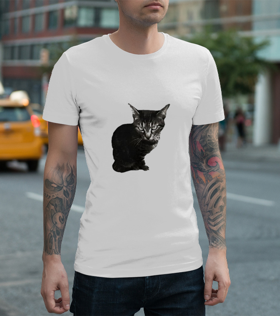 Smileymaya15 How Long Have I Been Here Kitten Cat Black Gray Tabby T-Shirt