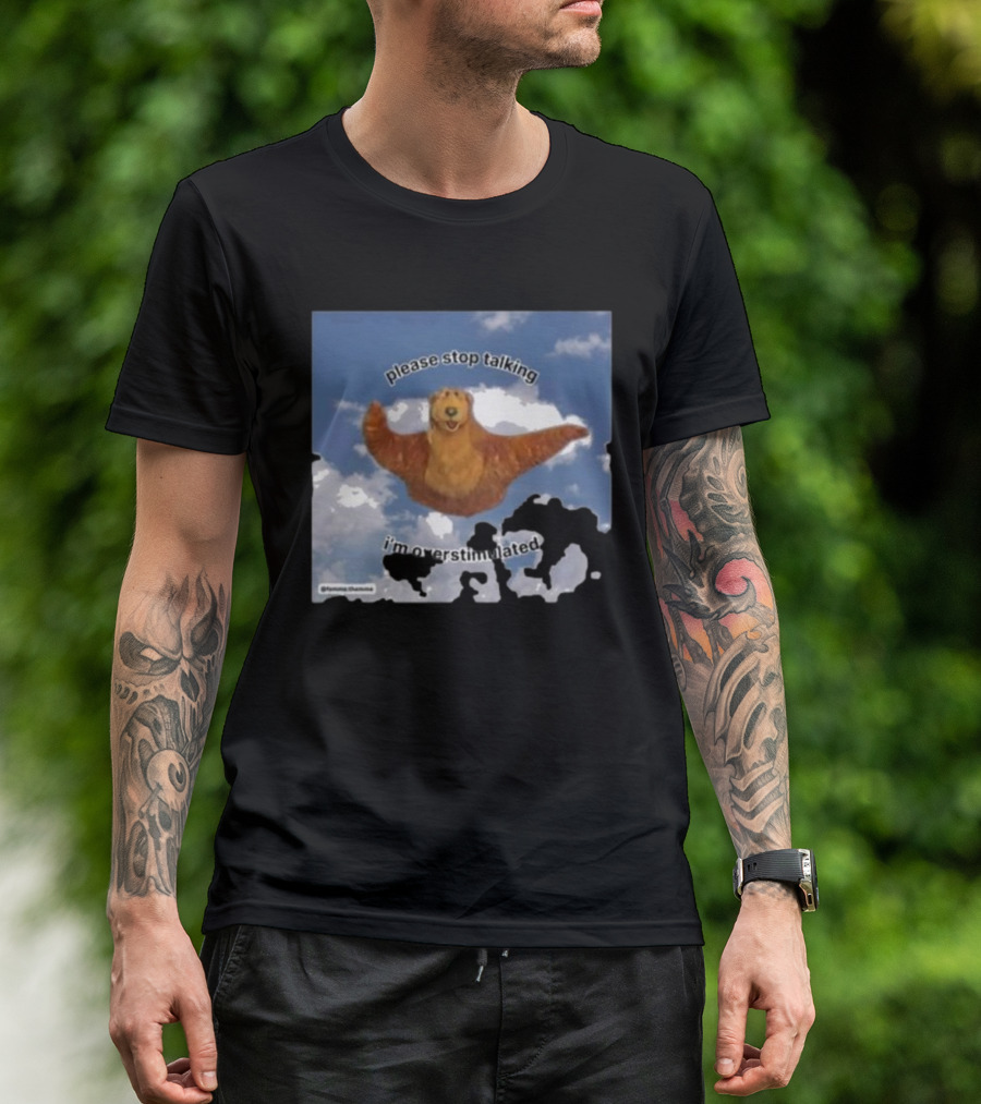 Please Stop Talking I'm Overstimulated Bear In The Big Blue House Image T-Shirt