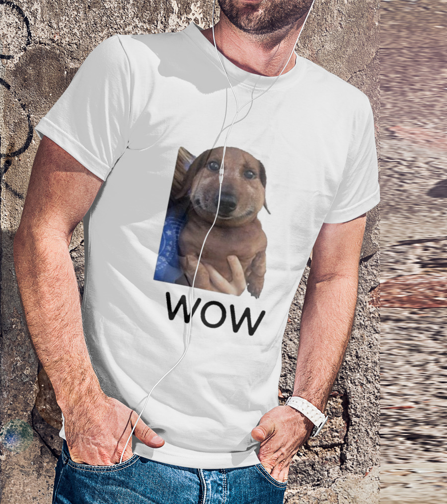 Fallenchungus Wow Dog Meme With Funny Expression T-Shirt