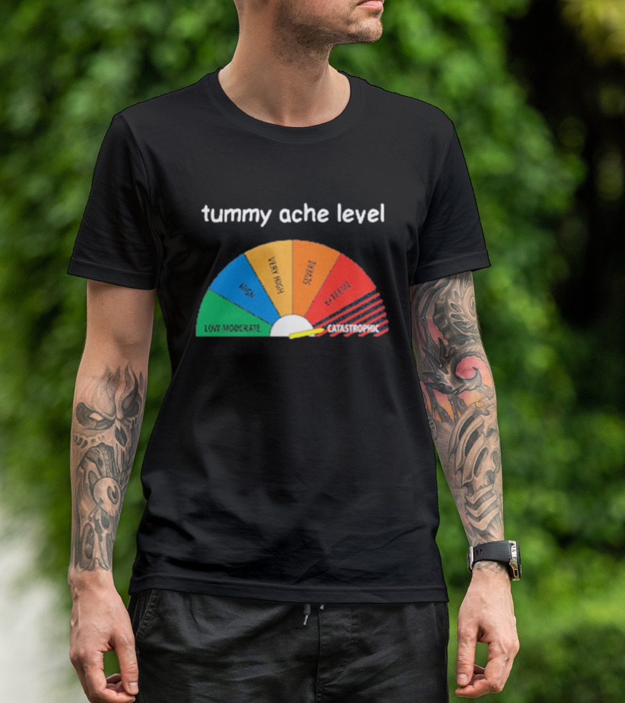Tummy Ache Level Catastrophic Scale Low Moderate Severe Cringe T-Shirt
