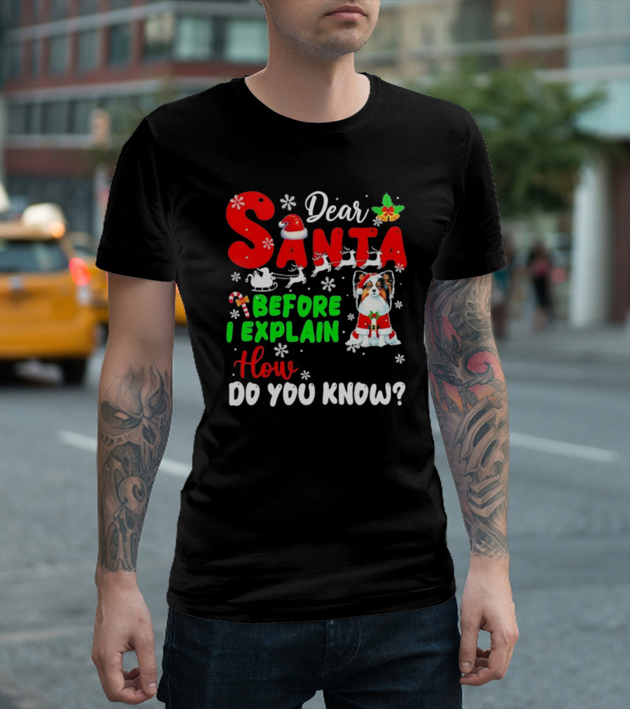 Dear Santa Before I Explain How Do You Know Santa Hat Reindeer Dog Xmas T-Shirt