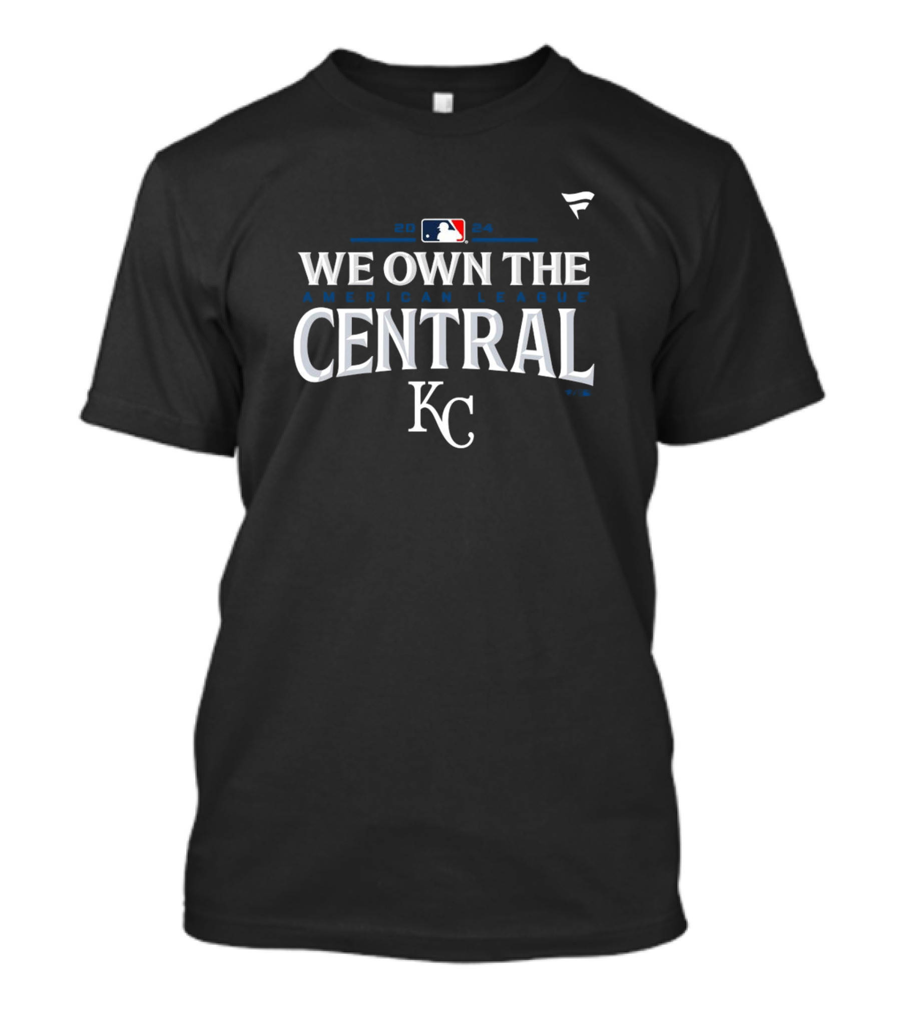 Kansas City Royals 2024 We Own The American League Central Division Champions KC T-Shirt