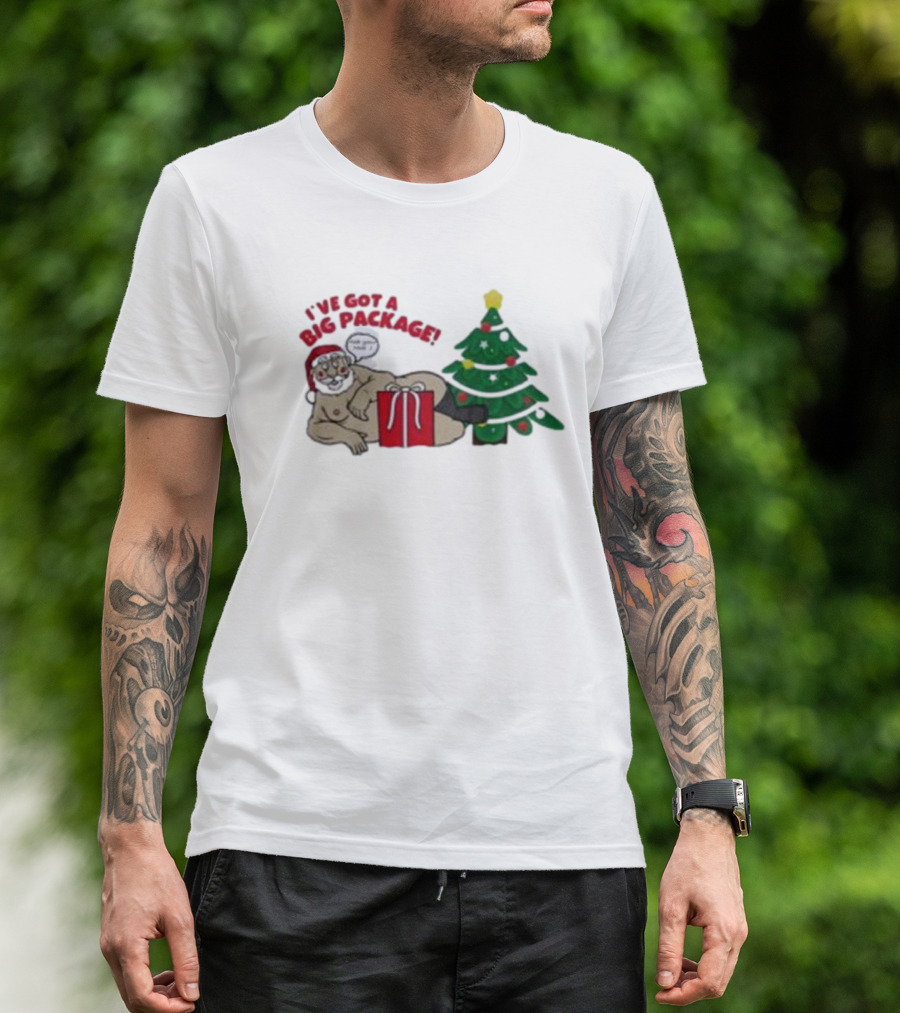 I've Got A Big Package Santa's Tree Smash Ugly Christmas T-Shirt