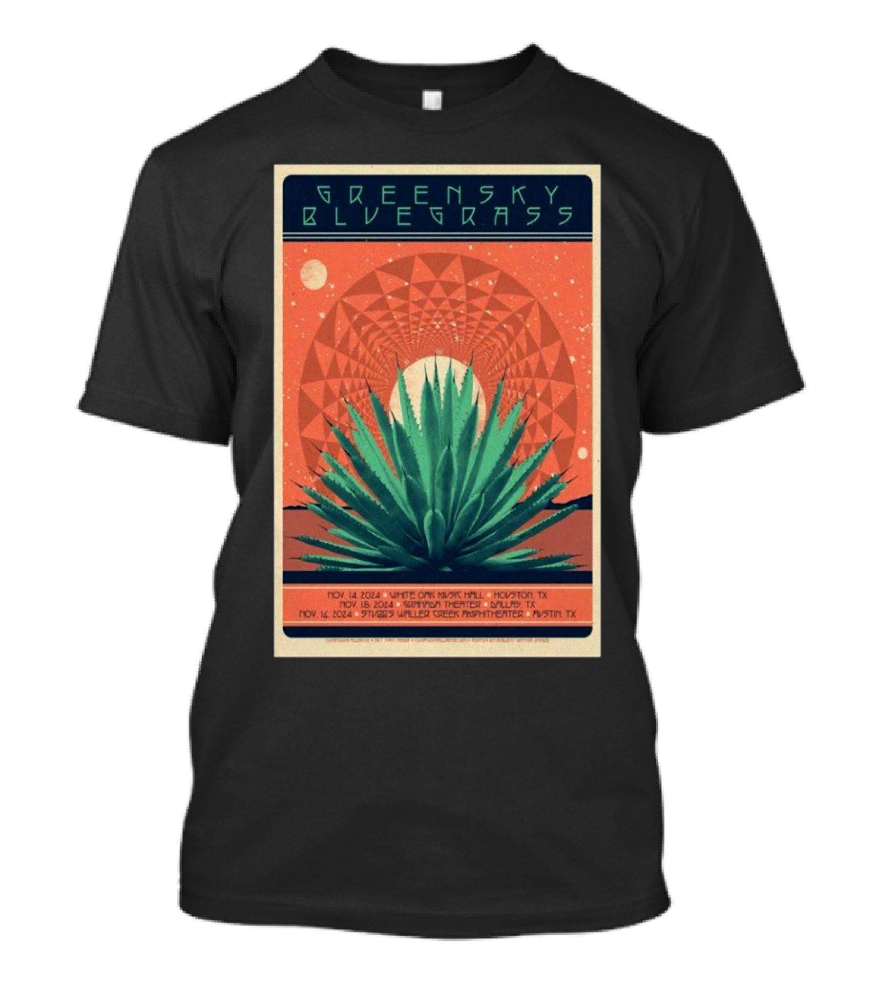 Greensky Bluegrass Tour November 2024 Texas Houston Dallas Austin Vintage Cactus T-Shirt