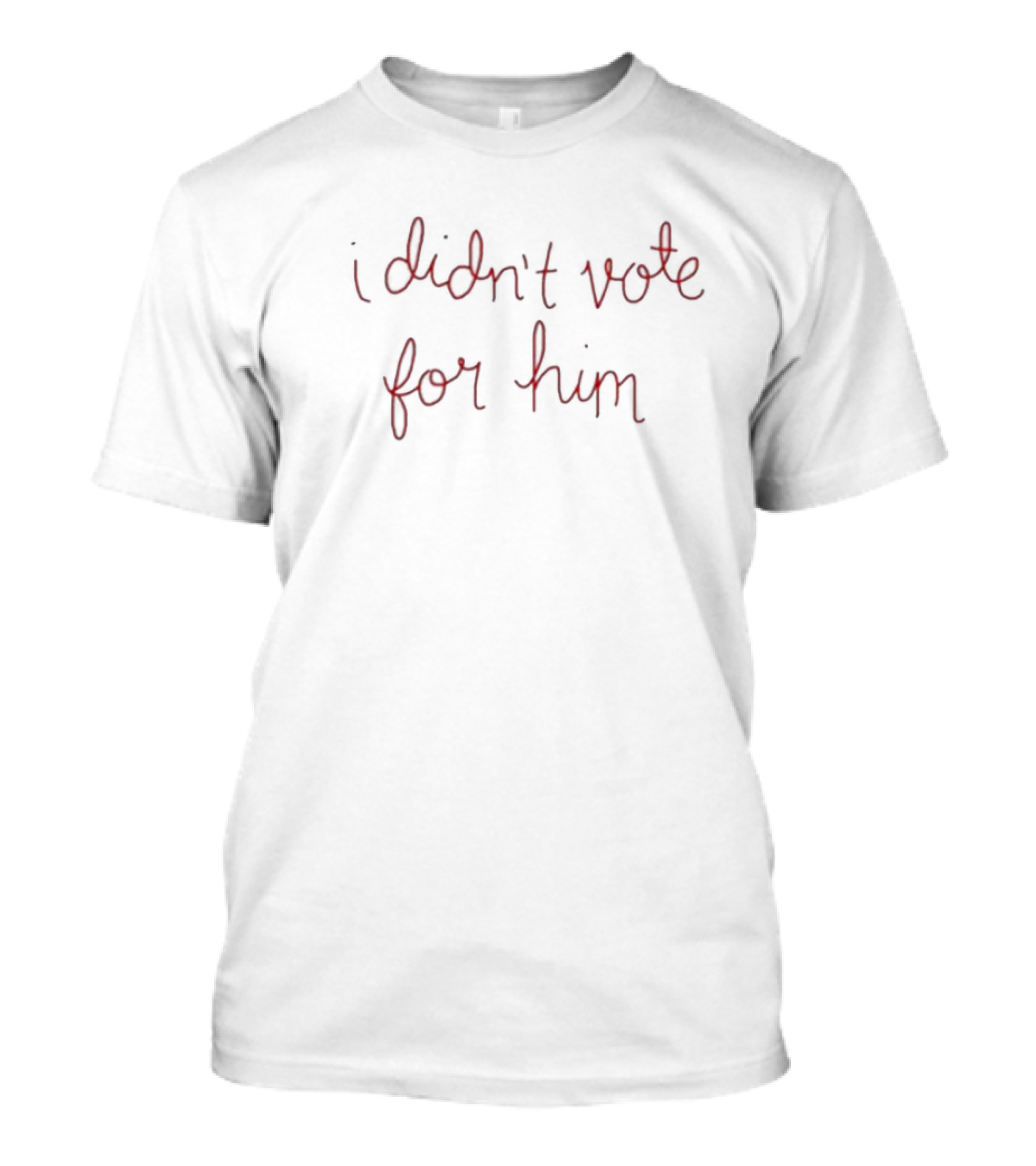 I Didn’t Vote For Him Simple T-Shirt