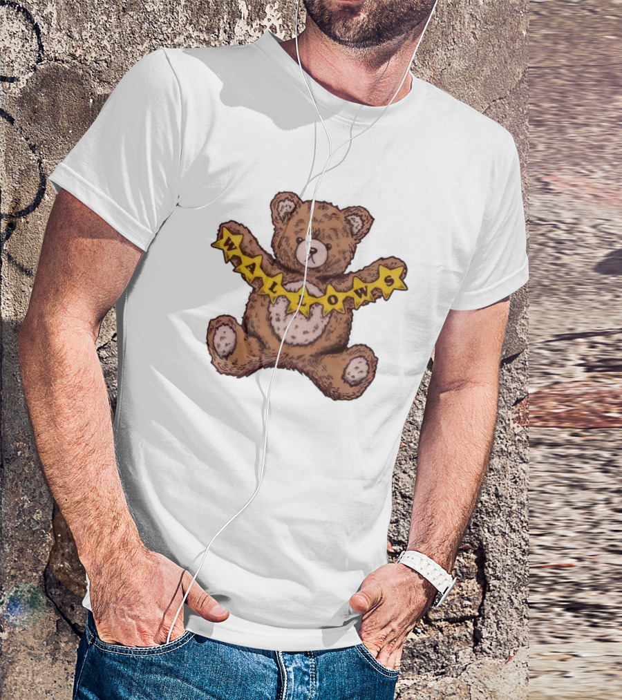 Wallows Teddy Bear Friendship Banner T-Shirt