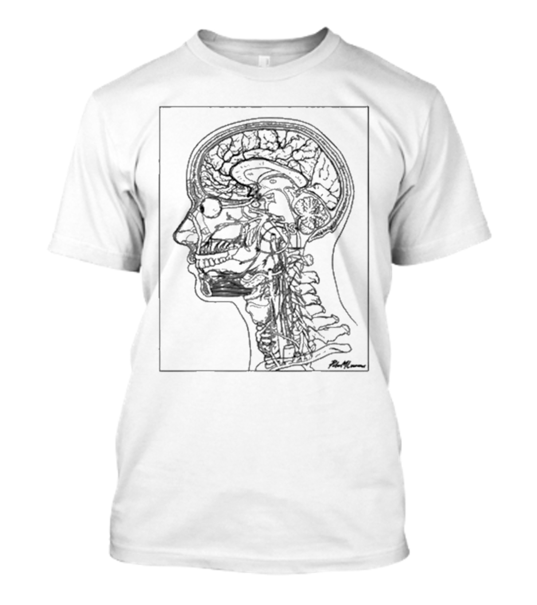 Petermlawrence Head And Neck Anatomy Side Profile Diagram T-Shirt