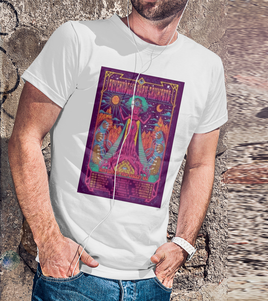 Psychedelic Porn Crumpets 2025 Tour Santa Ana April 26 With Support From Crocodylus T-Shirt
