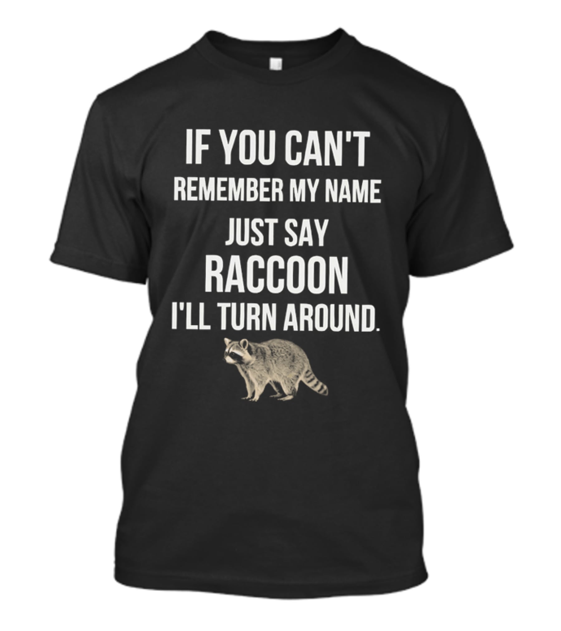 If You Can't Remember My Name Just Say Raccoon I'll Turn Around Playful Humor T-Shirt