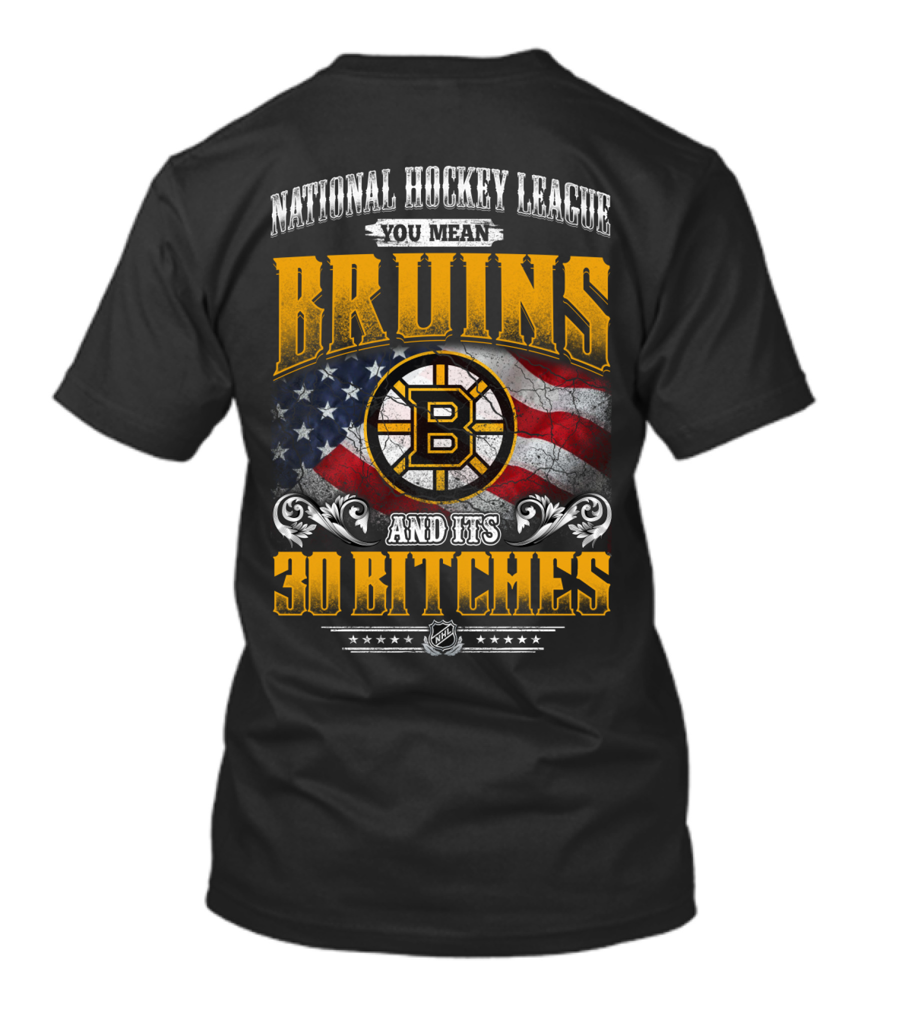 Bruins National Hockey League You Mean And Its 30 Bitches T-Shirt