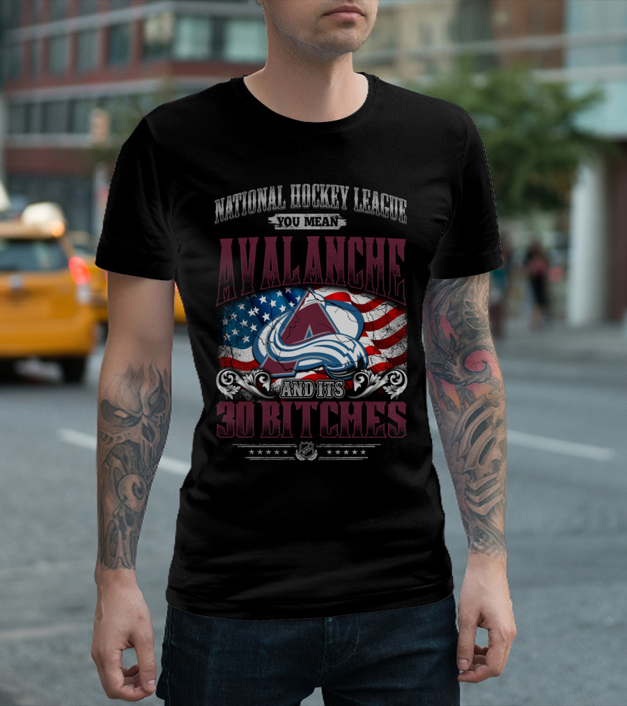 National Hockey League You Mean Avalanche And Its 30 Bitches T-Shirt