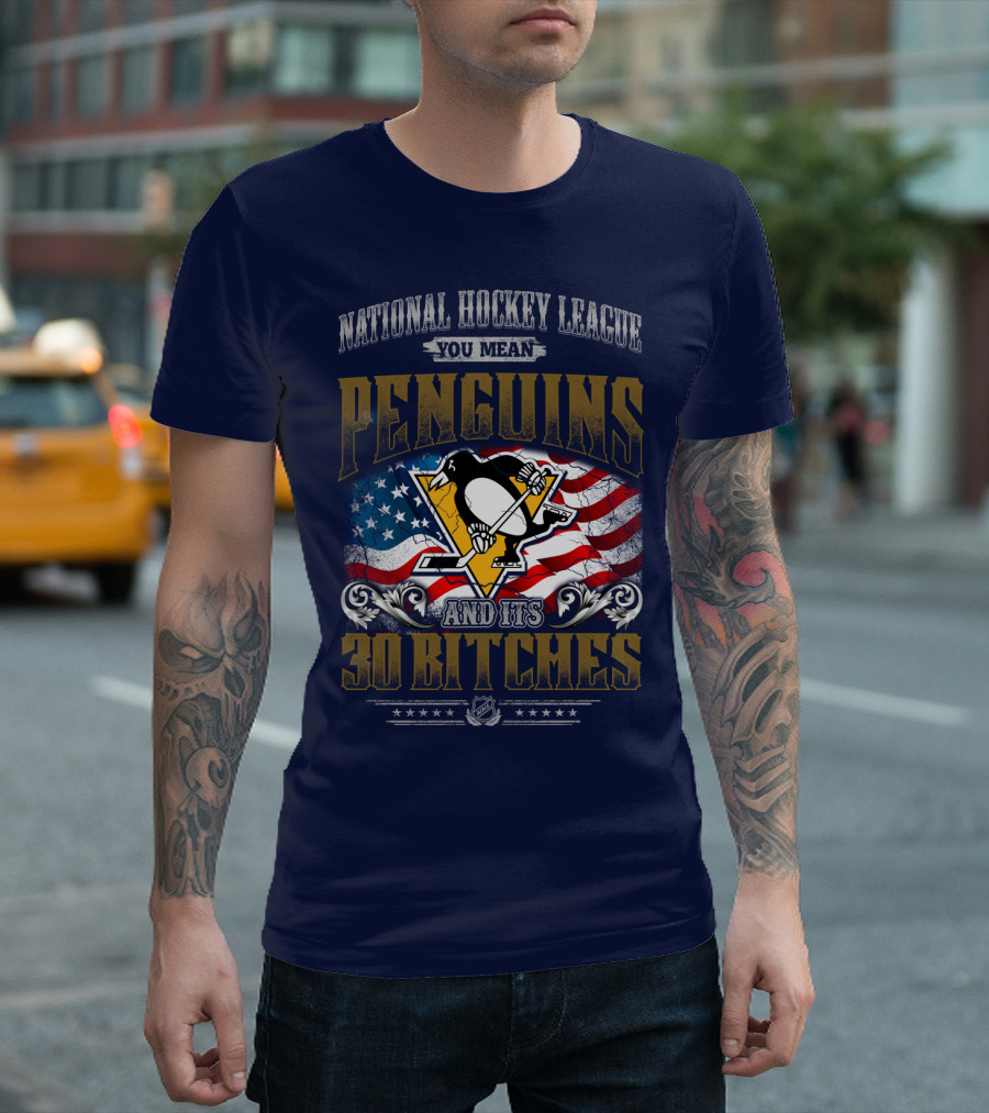 National Hockey League You Mean Penguins And Its 30 Bitches T-Shirt
