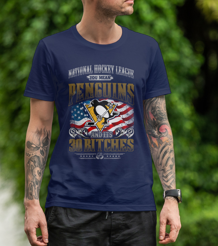 National Hockey League You Mean Penguins And Its 30 Bitches T-Shirt