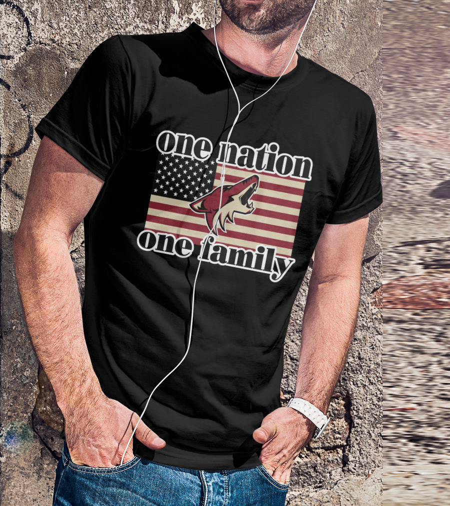 One Nation One Family Arizona Coyotes American Flag T-Shirt
