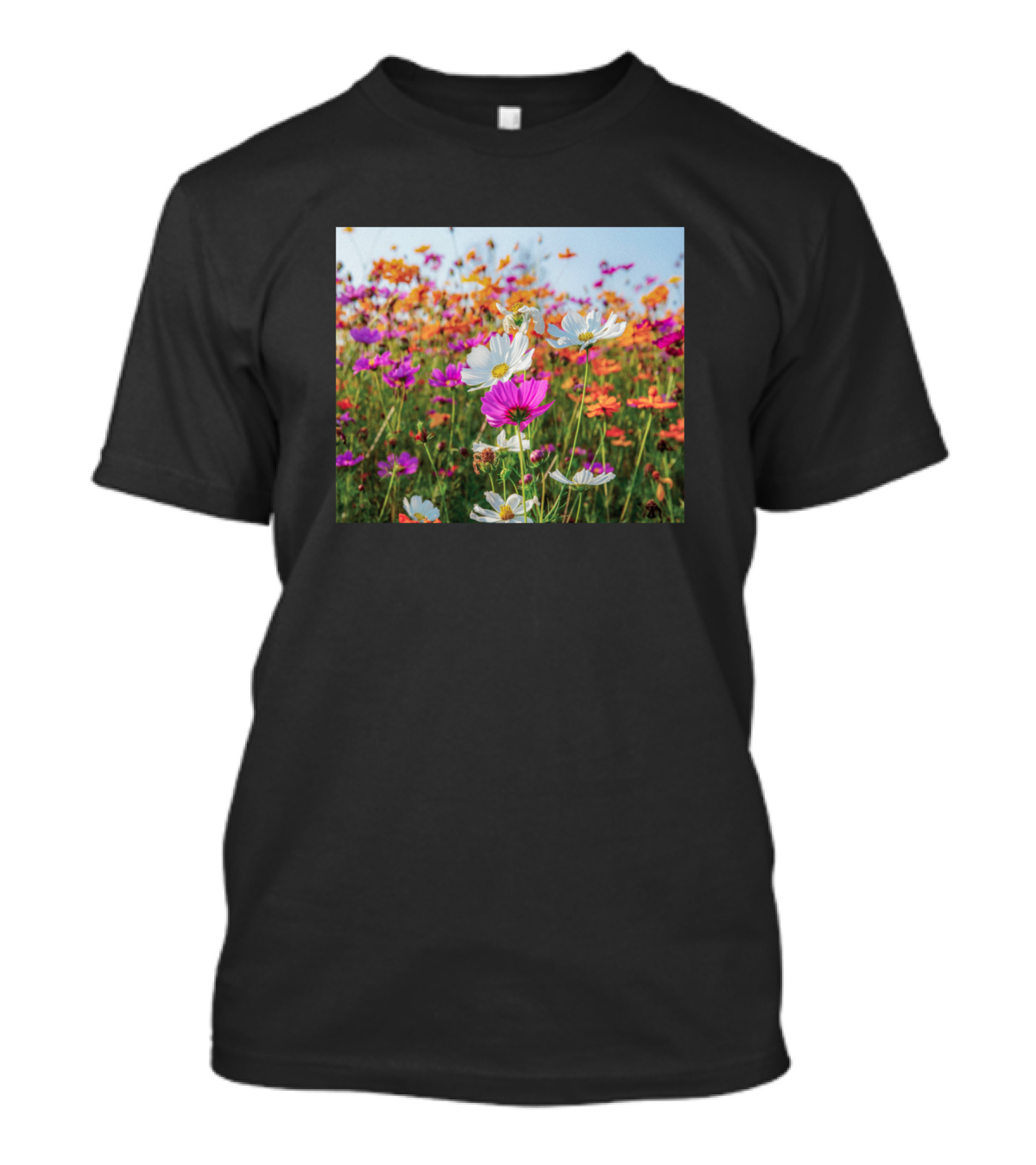 Beautiful View Of Vibrant Colorful Cosmos Flower Field T-Shirt