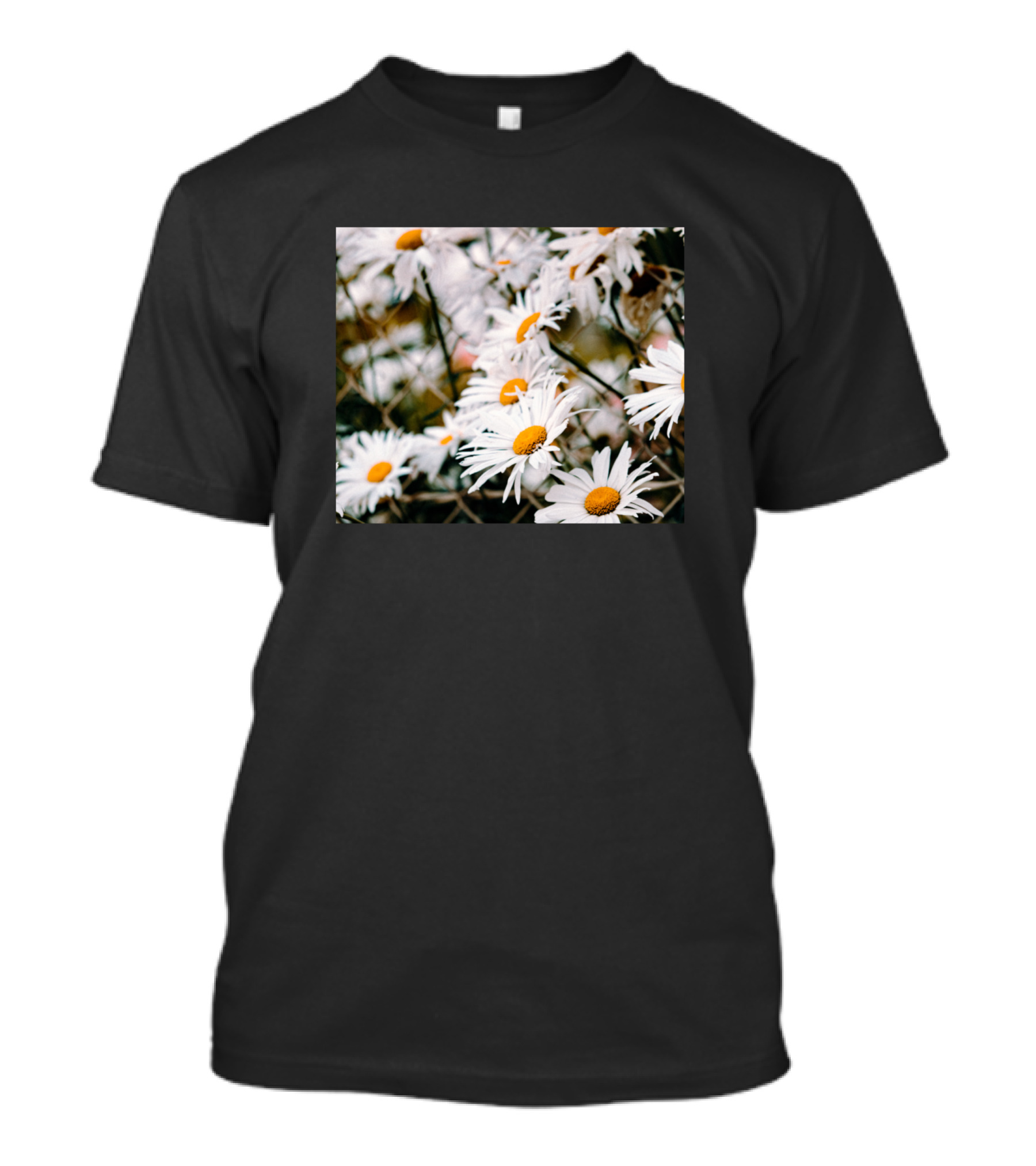 View Of A Bunch Of Daisies Blooming Gently In Nature T-Shirt