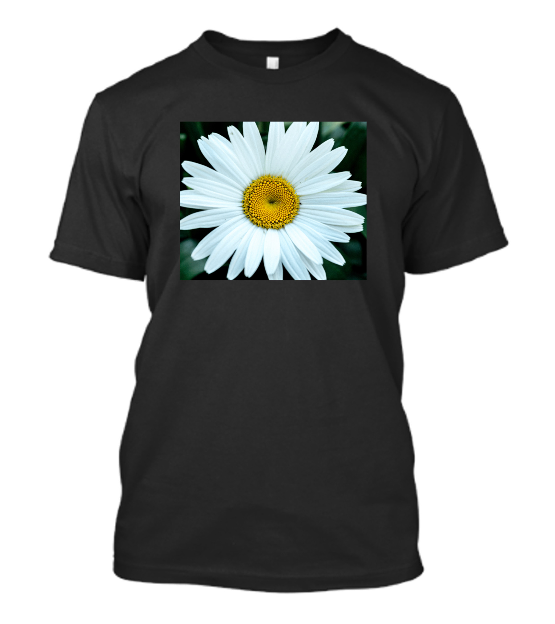 View Of A Daisy With Huge White Petals And Yellow Center T-Shirt