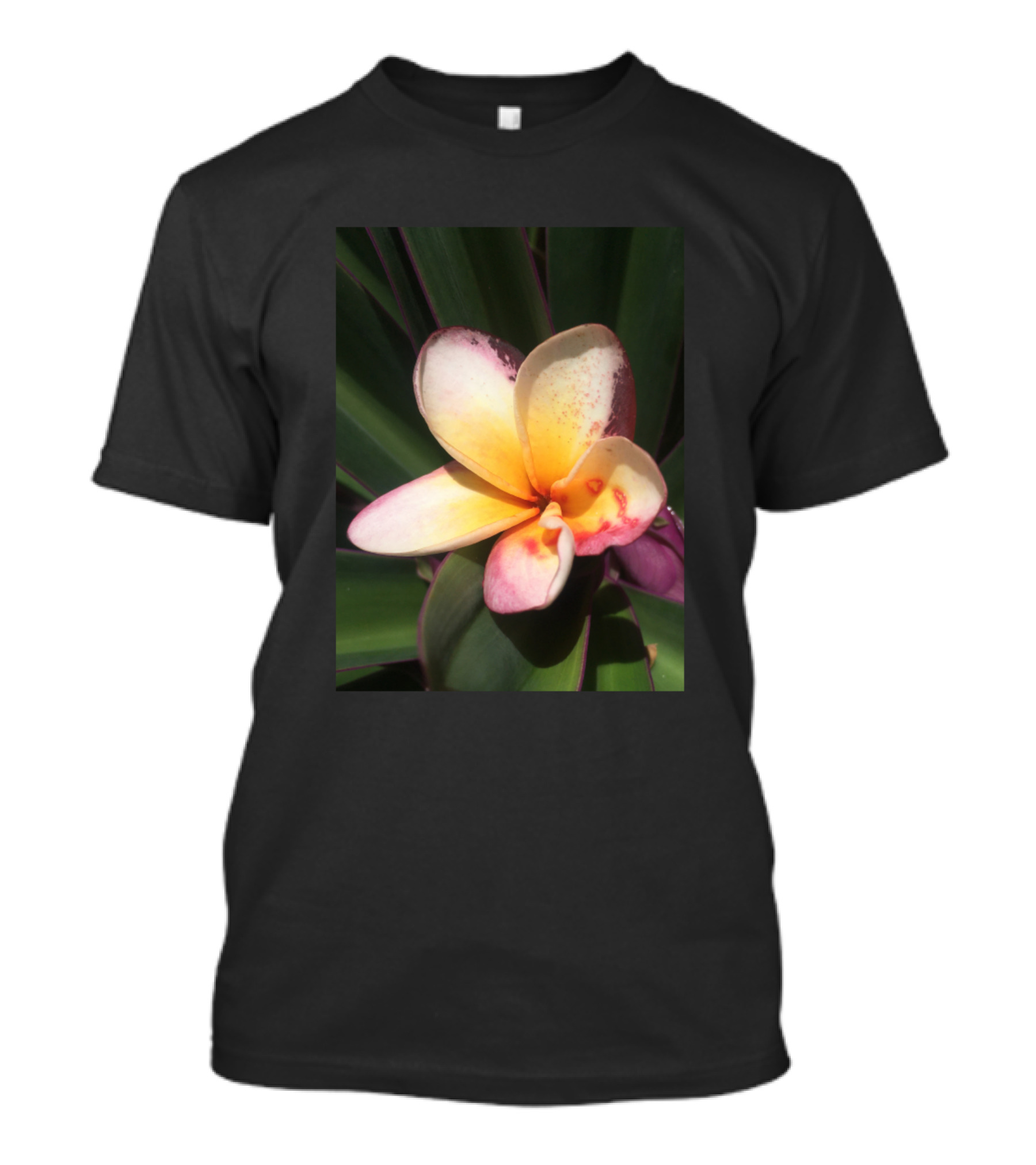 Caribbean Tropical Flower Pink Yellow Plumeria Blossom T-Shirt
