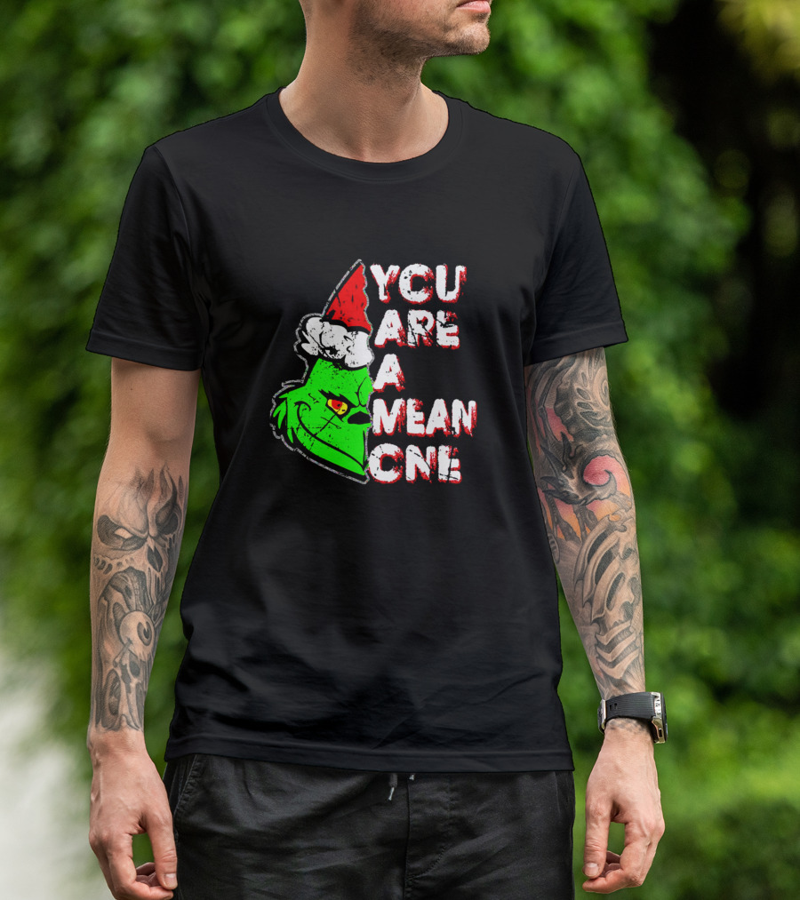 You Are A Mean One Grinch Santa Hat T-Shirt