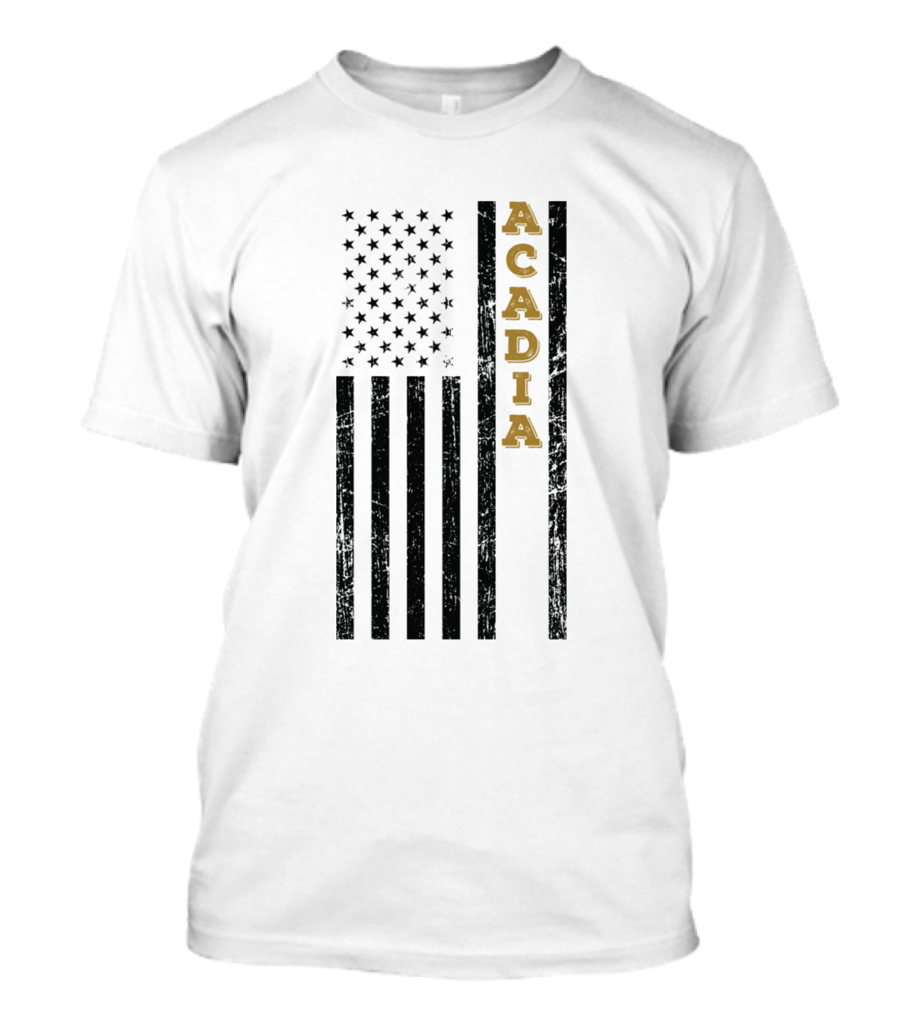 ACADIA Vintage Distressed American Flag T-Shirt