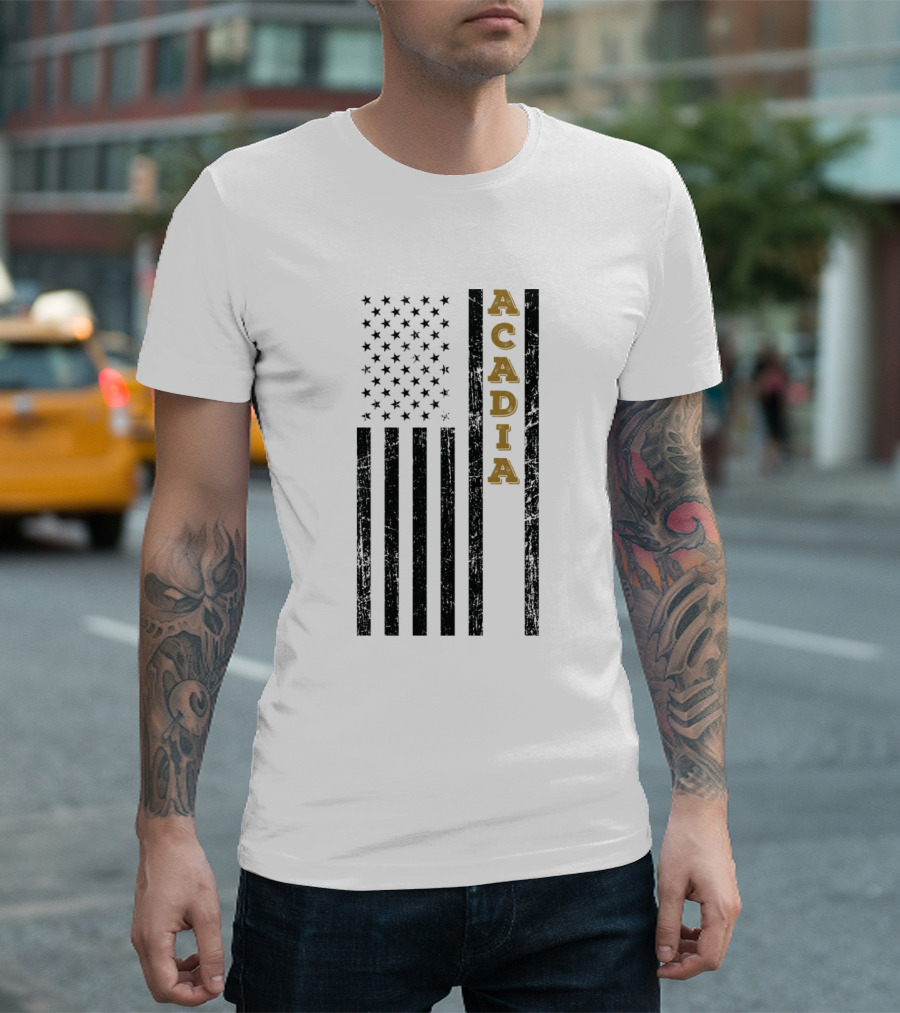ACADIA Vintage Distressed American Flag T-Shirt