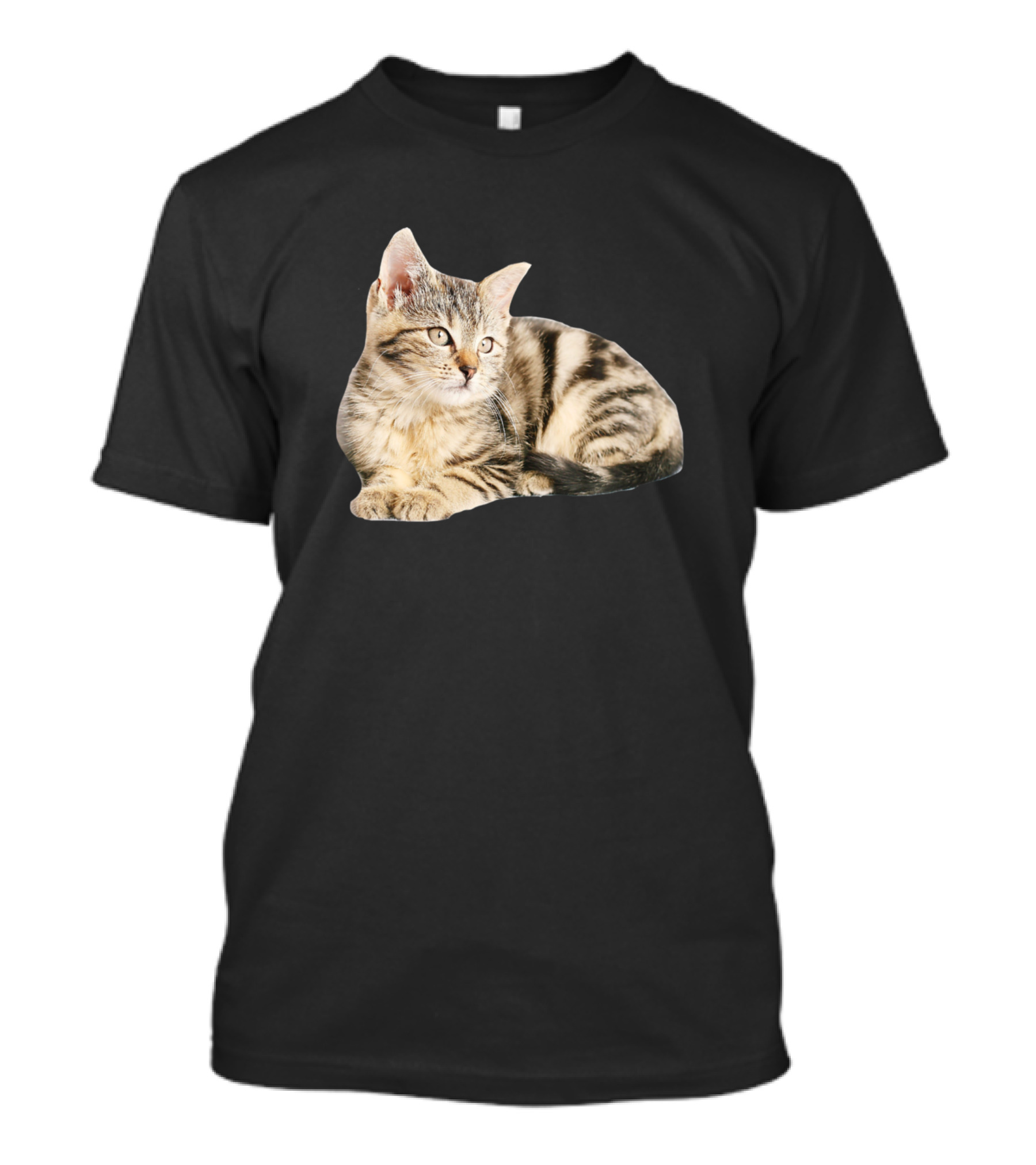 Cute Baby Cat Husband Wife Kitten T-Shirt