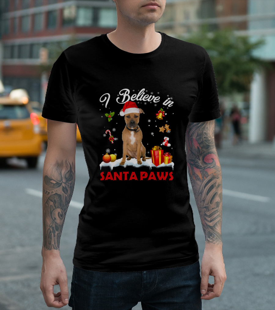 I Believe In Santa Paws Christmas Dog Gifts And Treats T-Shirt