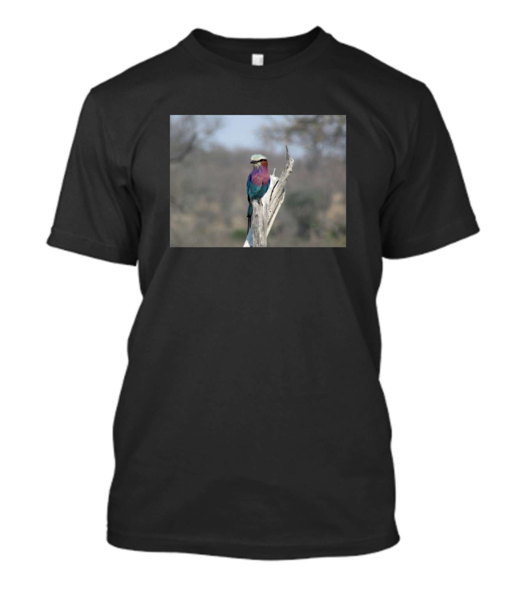 My African Safari Blue Bellied Roller Wildlife Scene T-Shirt