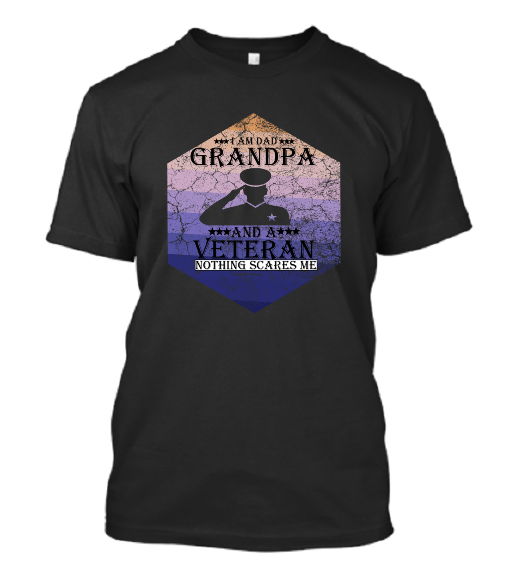 I Am Dad Grandpa And Veteran Nothing Scares Me Salute Badge T-Shirt