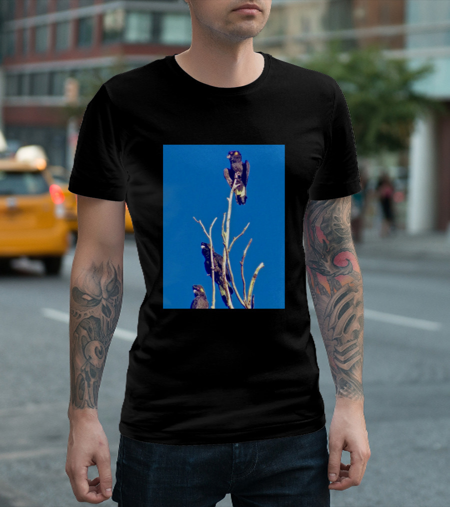 Yellow Tail Black Cockatoos On Tree Branches In Blue Sky Background T-Shirt