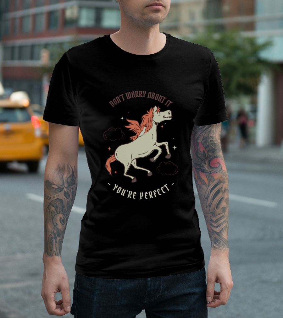 Don't Worry About It You're Perfect Winged Horse T-Shirt