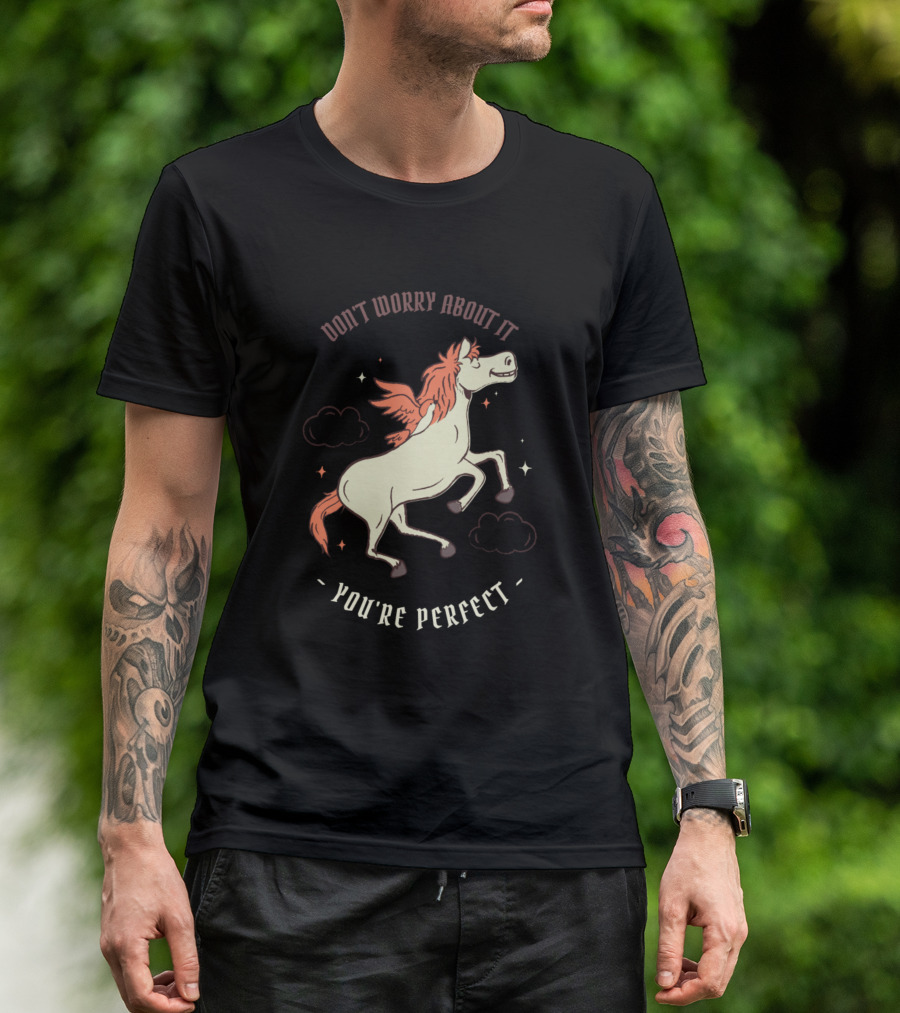 Don't Worry About It You're Perfect Winged Horse T-Shirt