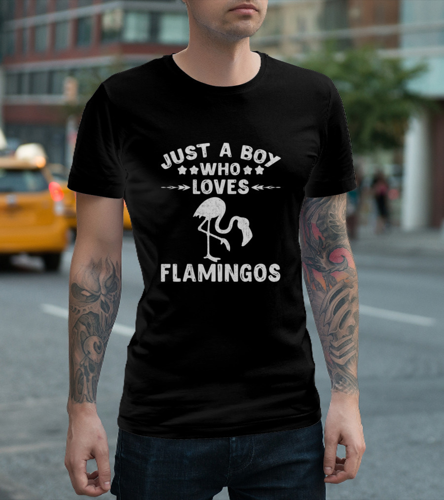Just A Boy Who Loves Flamingos Cool Animals Lover T-Shirt