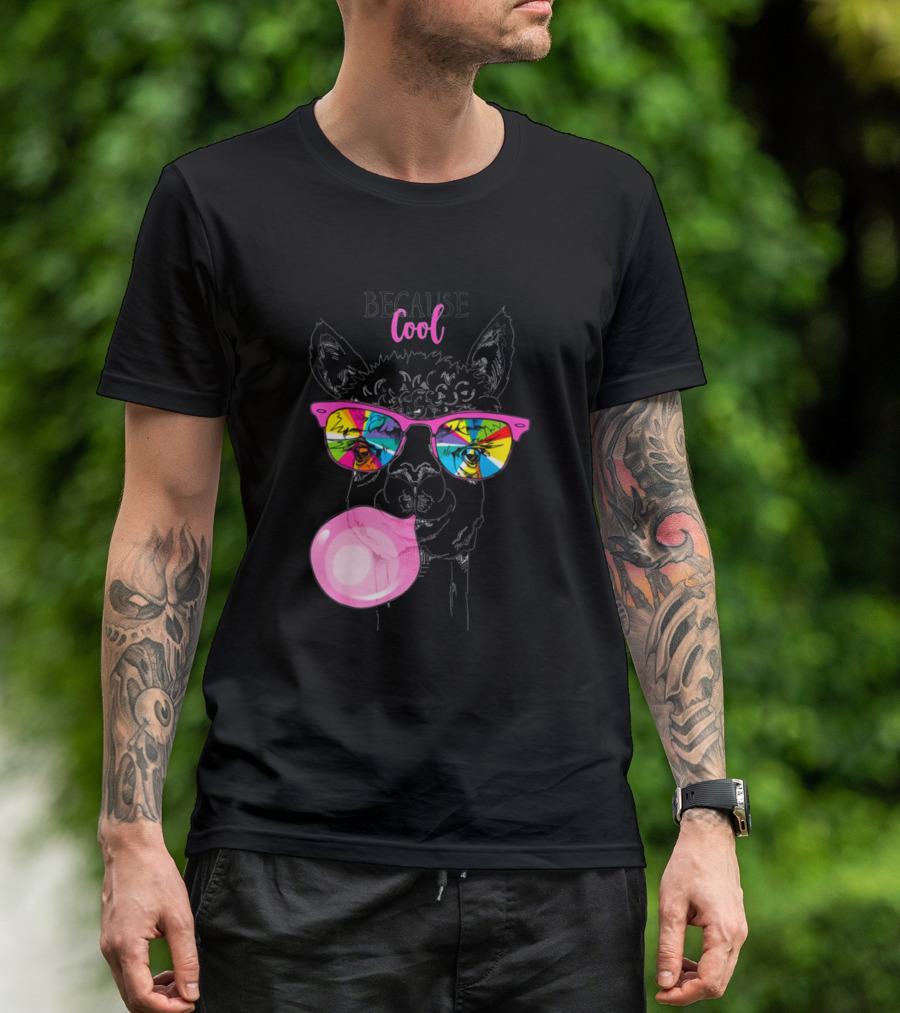 Because Cool Funny Llama In Rainbow Glasses With Pink Bubble Gum T-Shirt