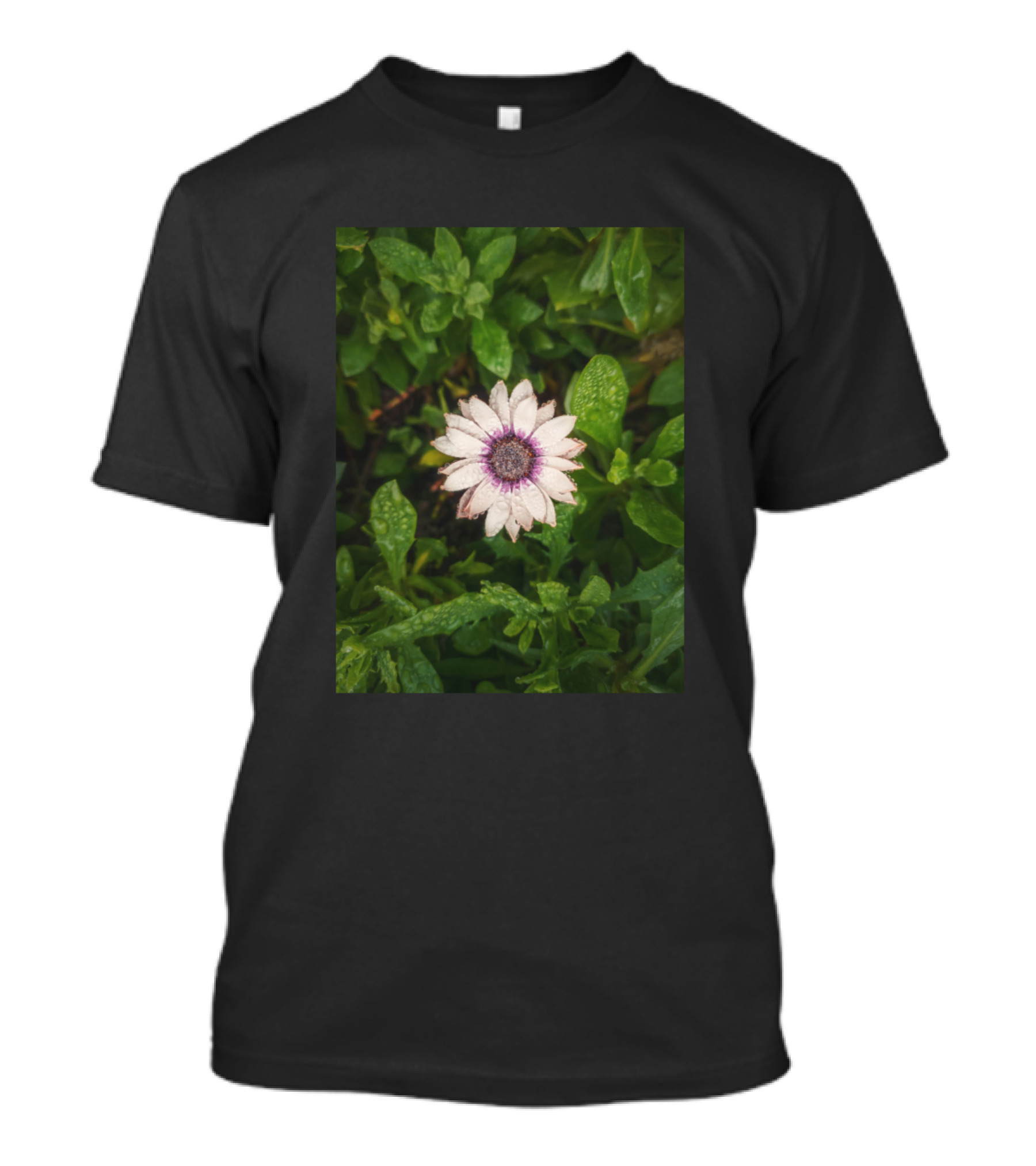 Autumn Aster In Lush Greenery T-Shirt