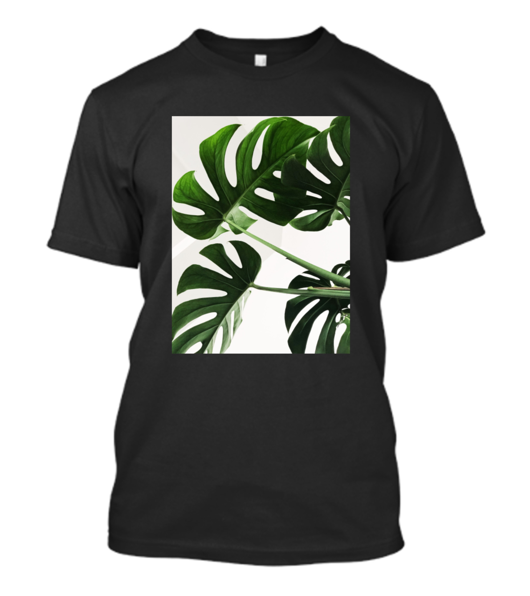 Green Leaves On White Background Monstera Plant Photography T-Shirt