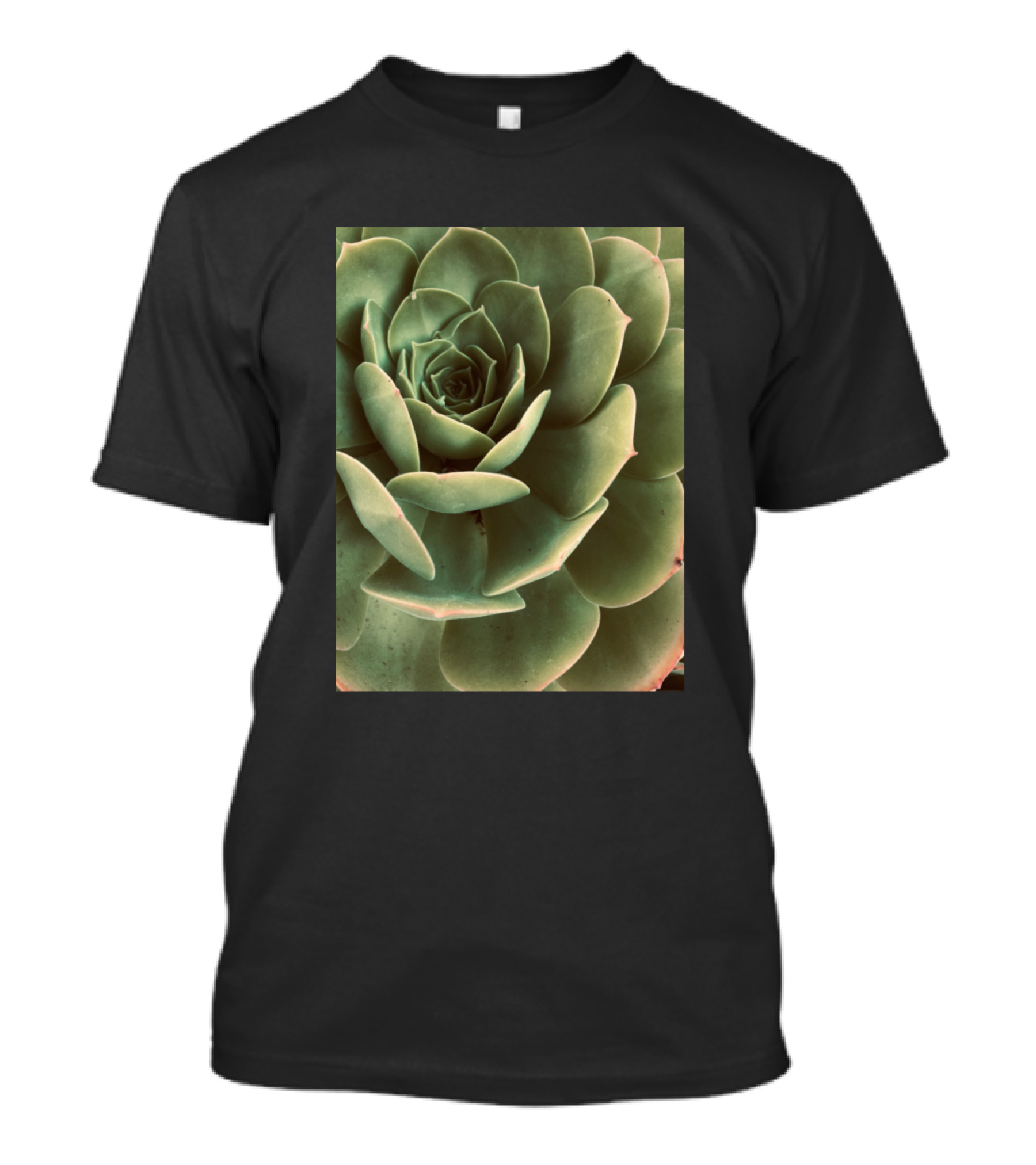 Photograph Of Green Succulent Plant Close-Up T-Shirt
