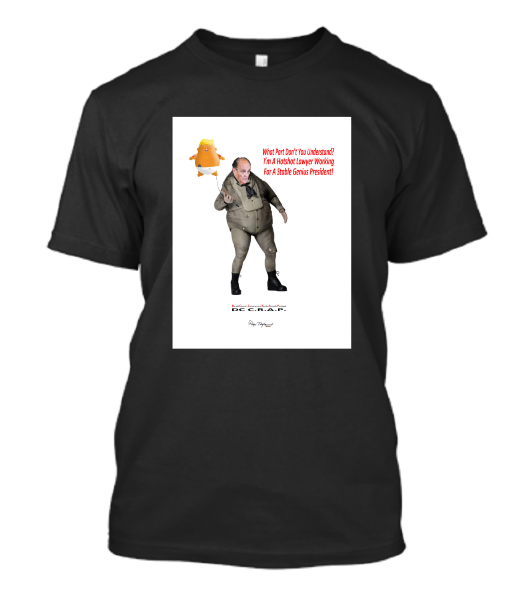What Part Don't You Understand I'm A Hotshot Lawyer Working For A Stable Genius President T-Shirt