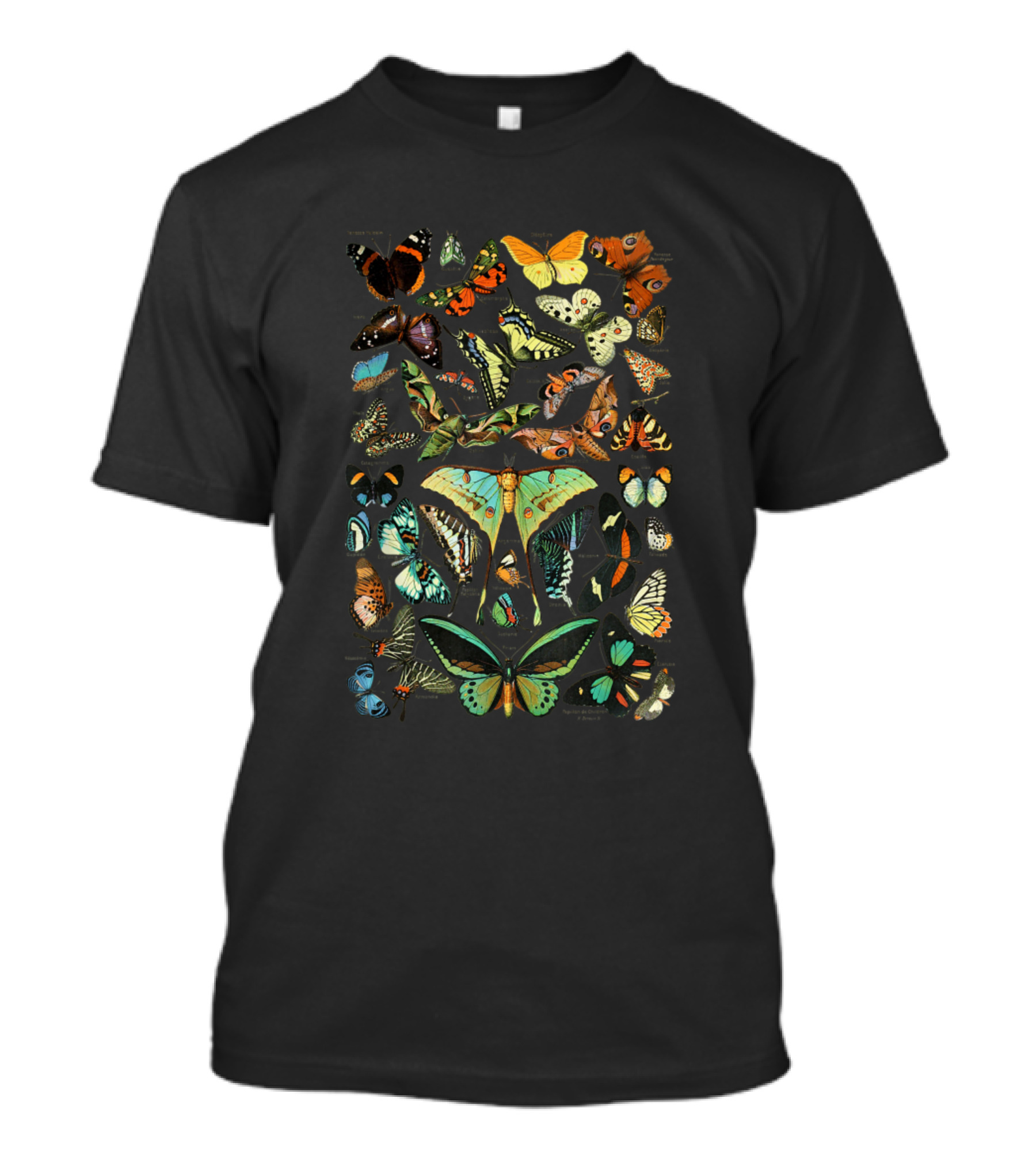 Vintage Scientific Butterfly Collection Various Colorful Species T-Shirt